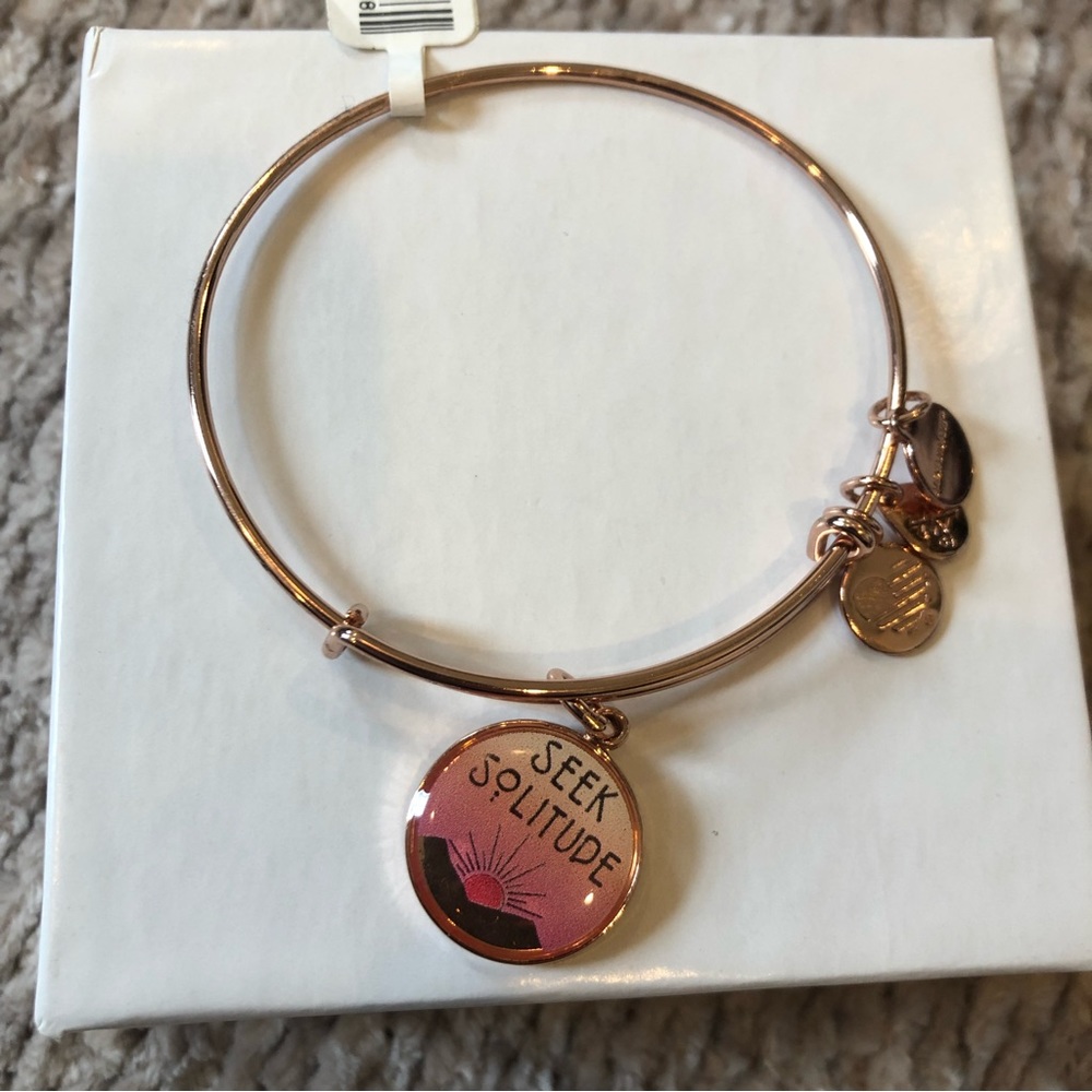 Alex and Ani Seek Solitude Bangle Bracelet (Words are Powerful)